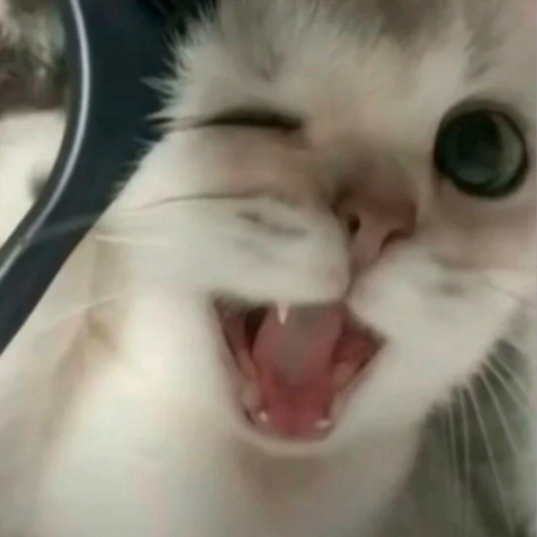 𝓼𝓮𝓪𝓼𝓮𝓪