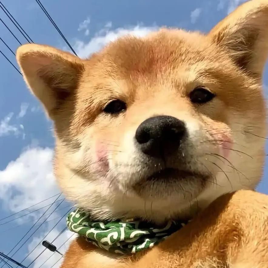 小柒