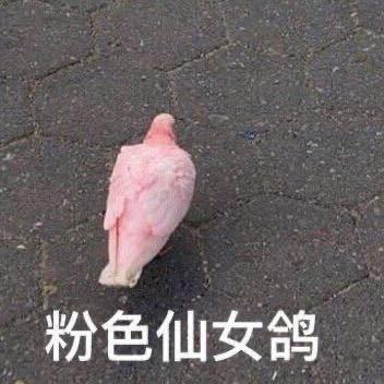 WANWAN捏