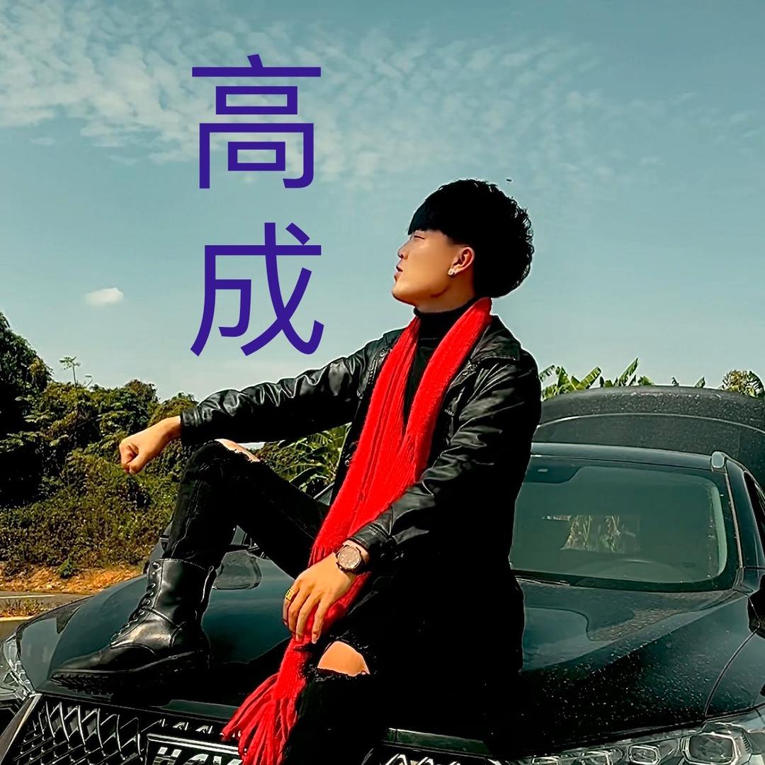高   成198