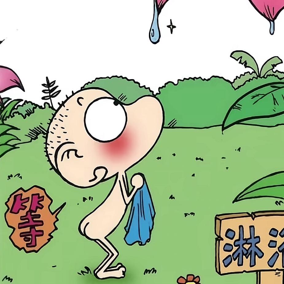 呆头