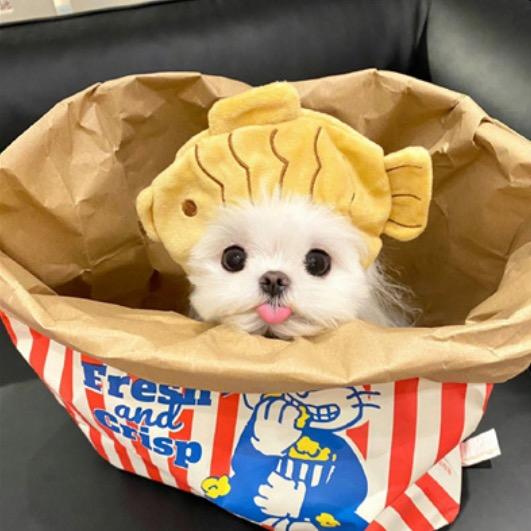 早点睡