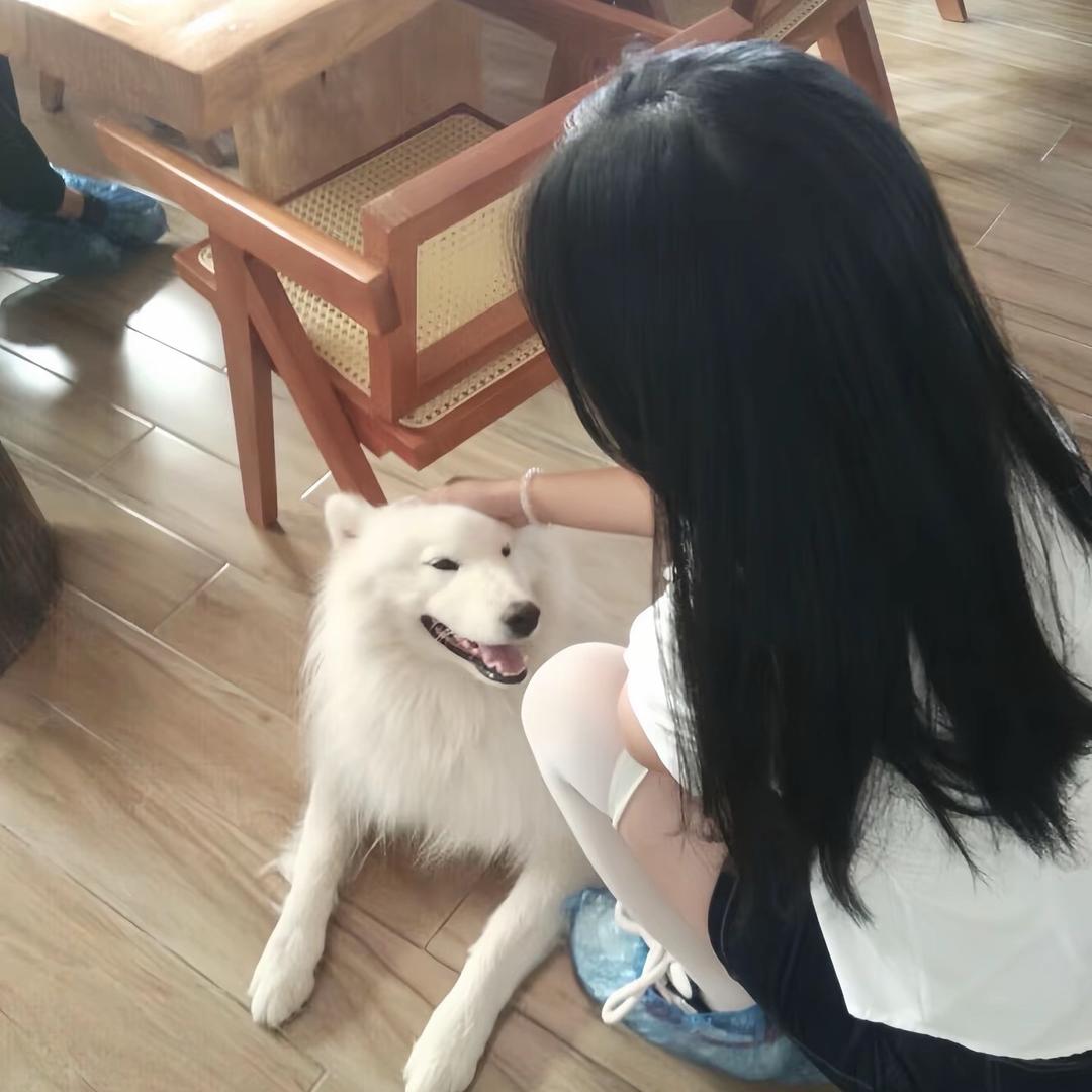 -柠檬茶-^