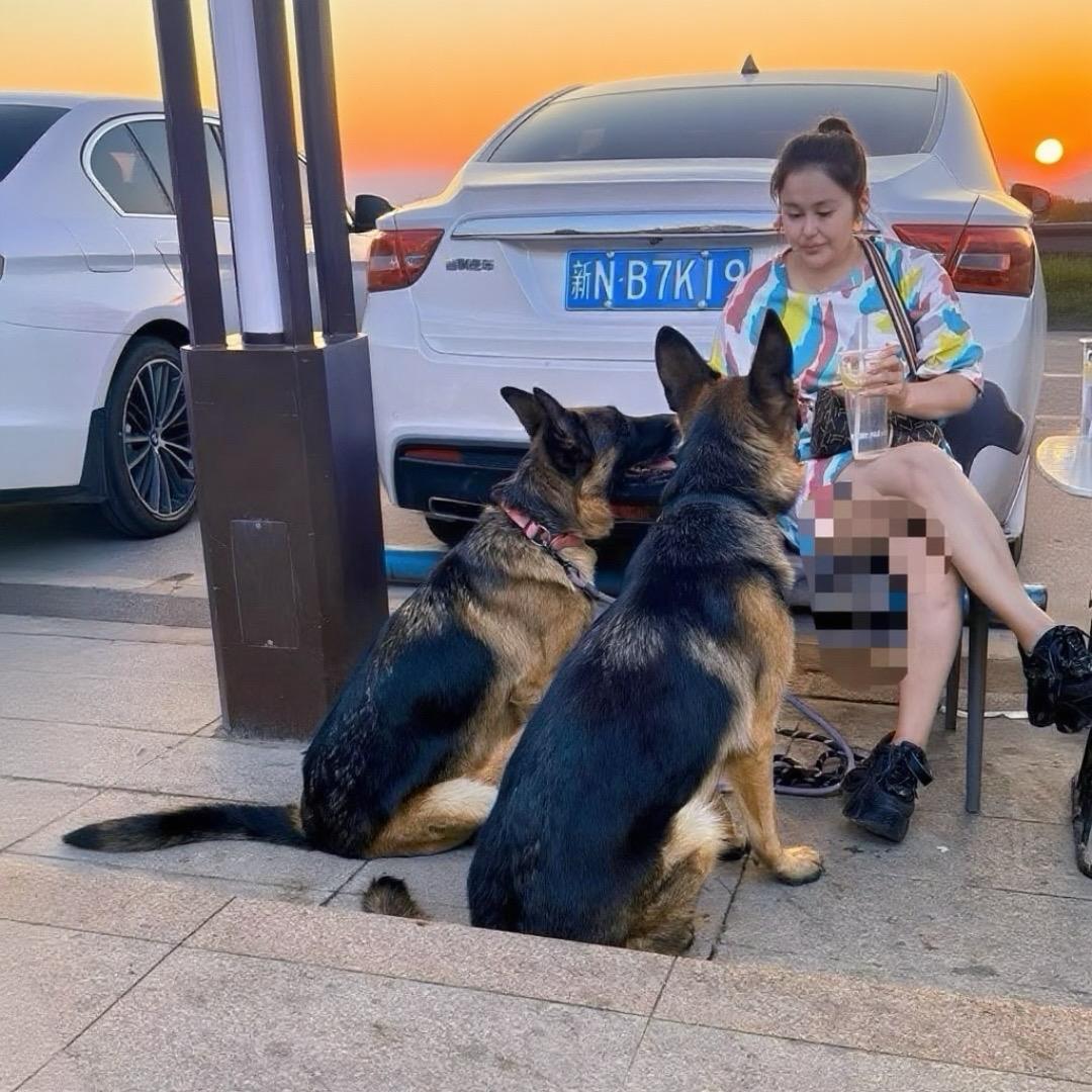 我家毛孩老三