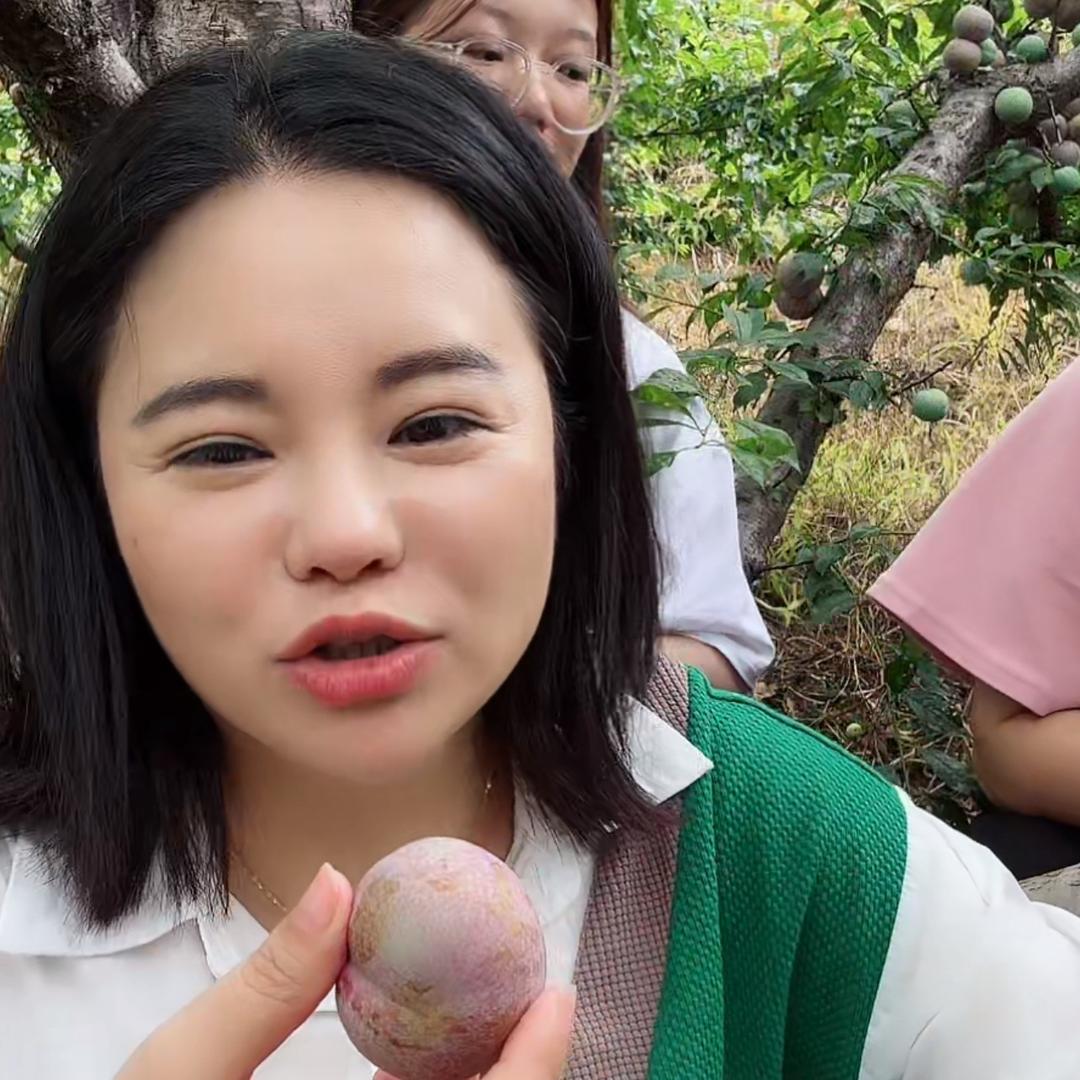 小乐乐团队   初10    A