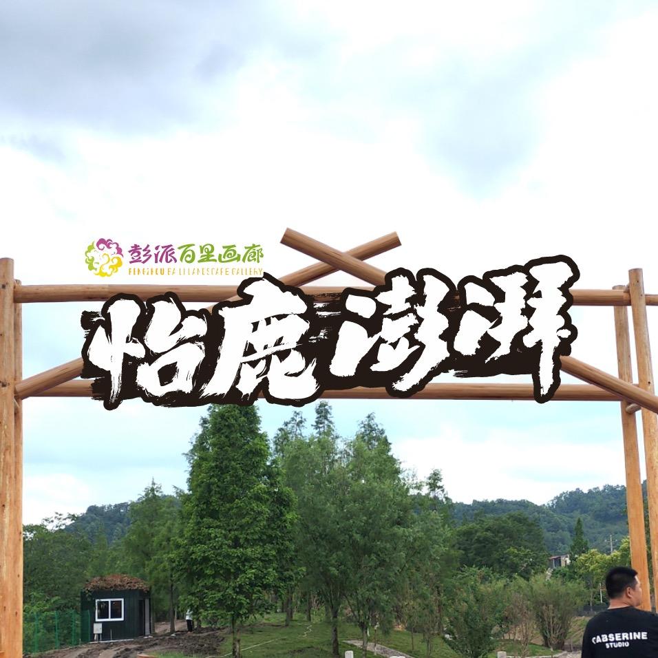 怡鹿•澎湃营地官方号