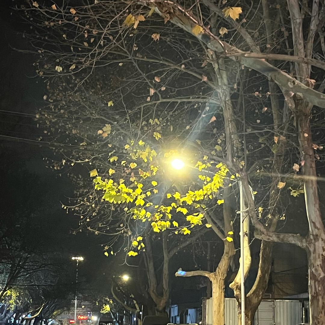 一