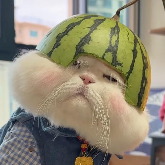 小～米粒