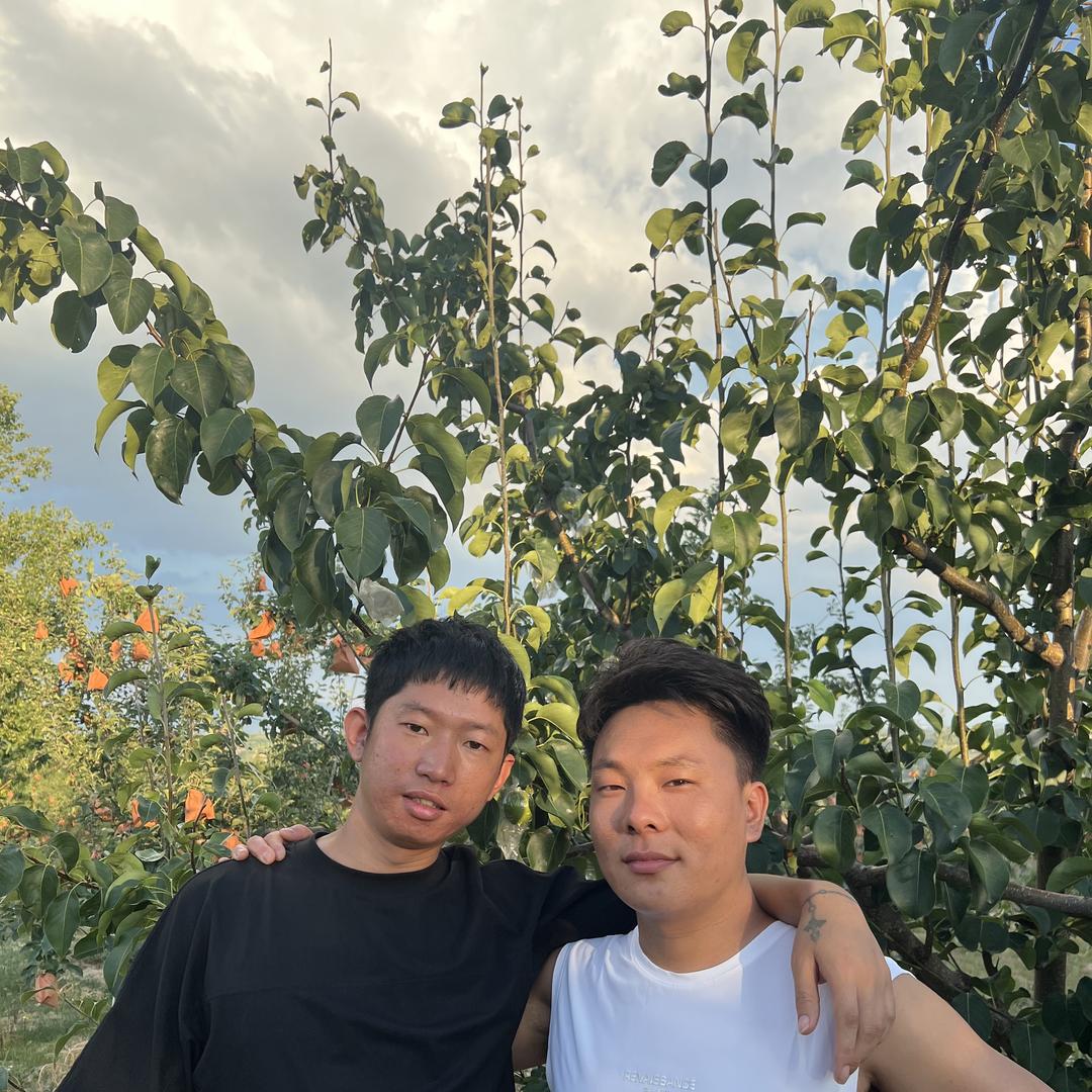 良心果园  洋洋