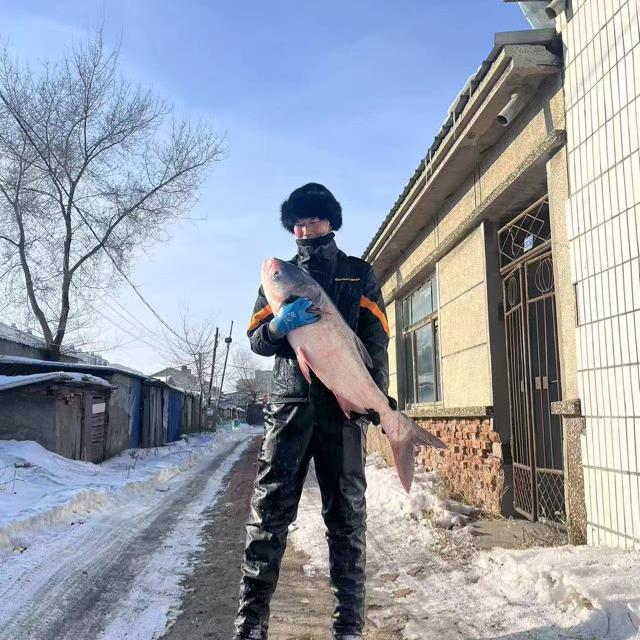 东北山子野生鱼