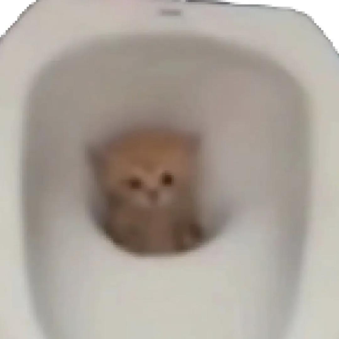 anti