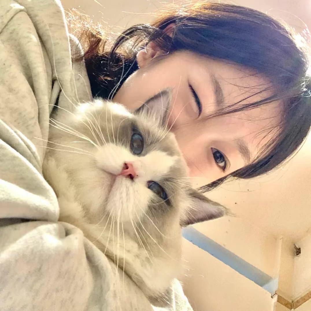 十七.