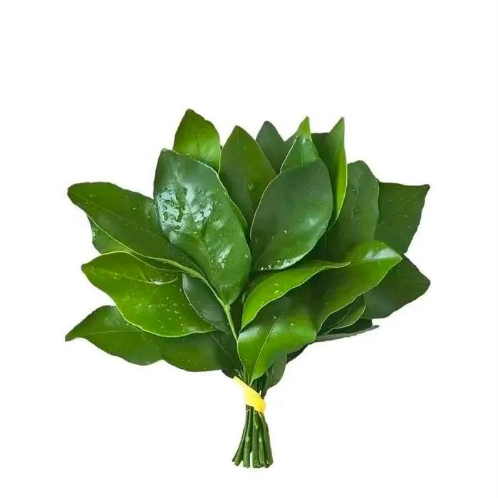 不会化妆的小美