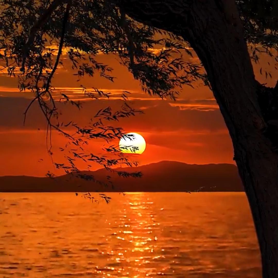 夕阳恋
