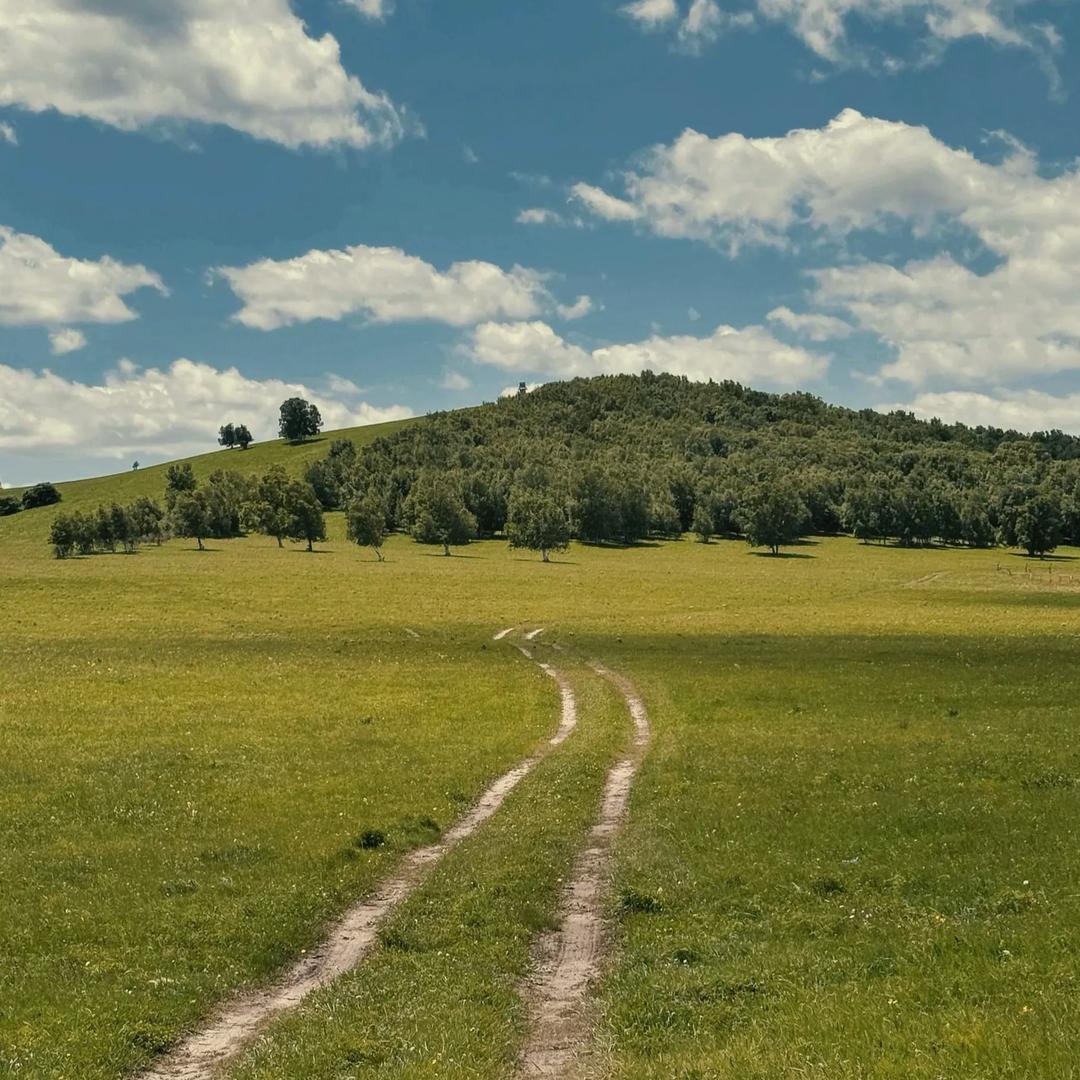 北冰洋与尼罗河