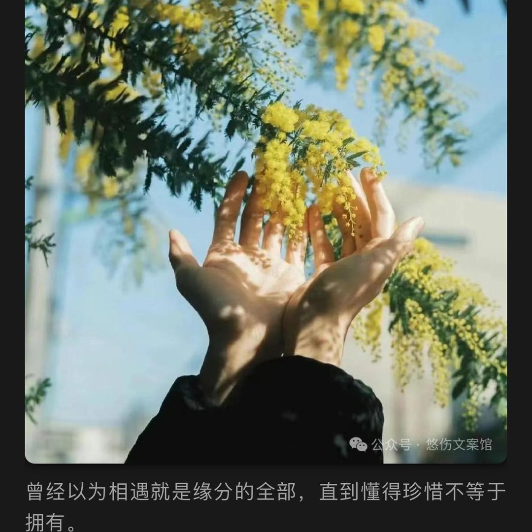 如果眼泪记得我