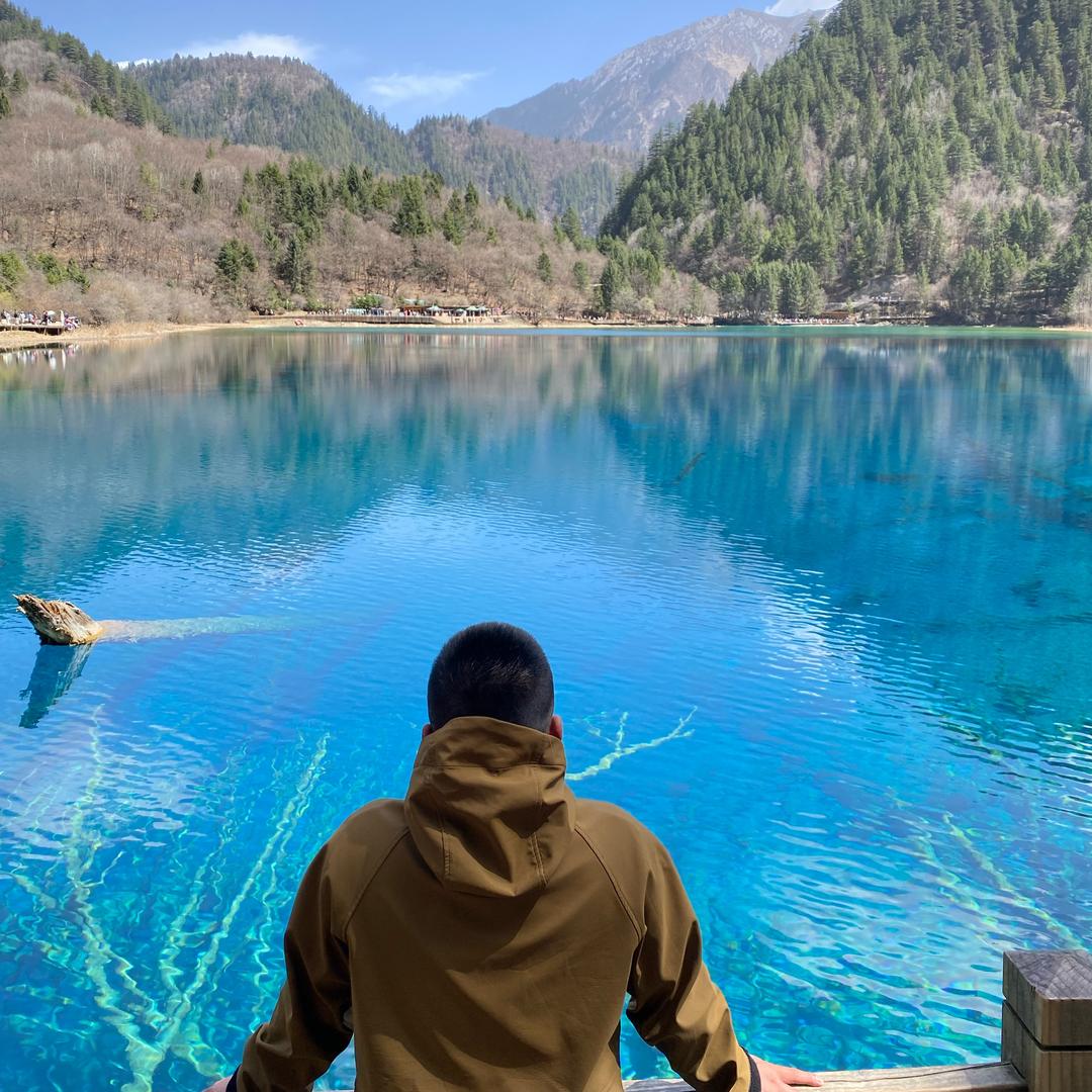 表Shu  •  [路亚]