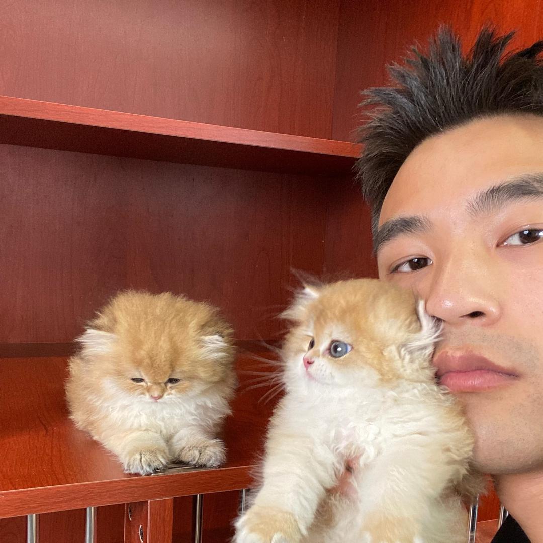 万全猫舍