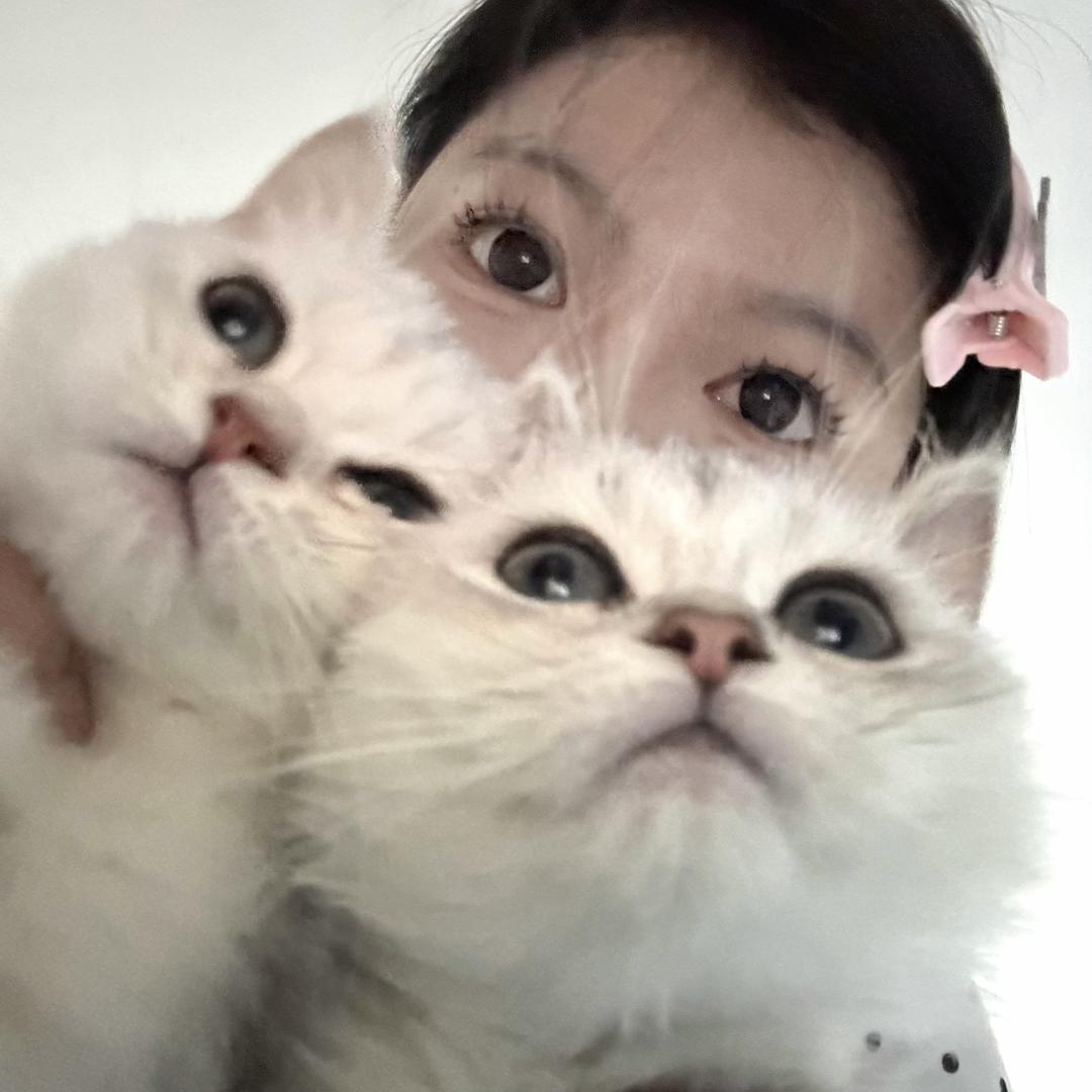 一颗心
