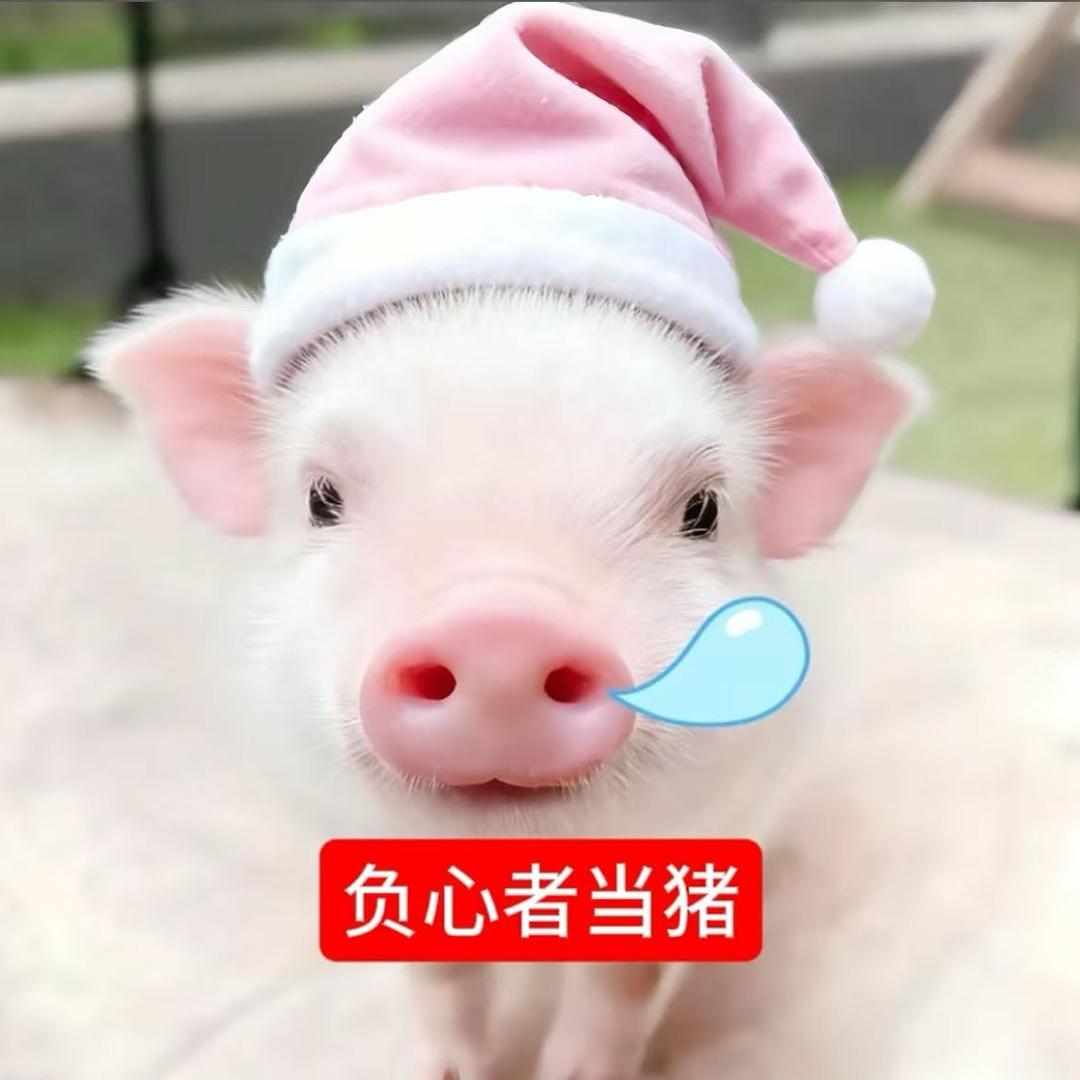 一条娴🐟