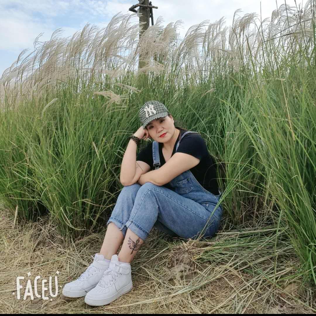 含羞草