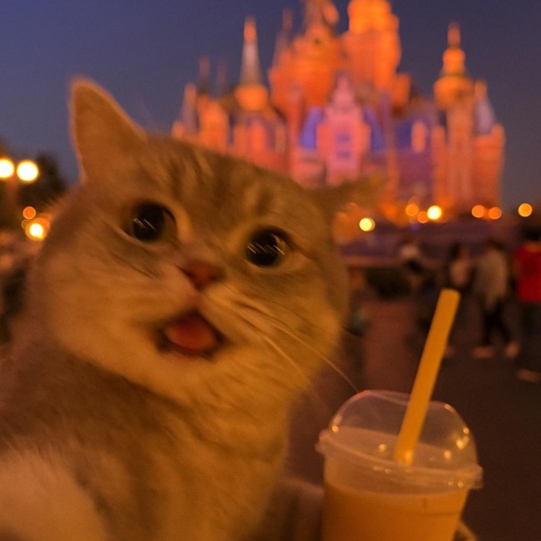 开心🥳