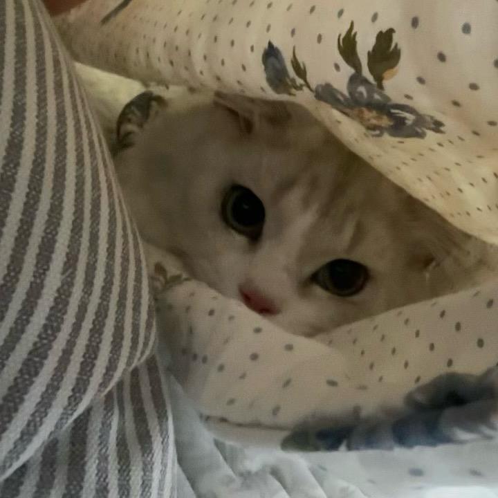 西塔拉小DJ ♍️ ♑️