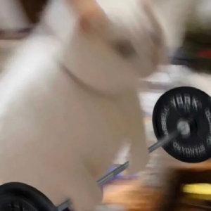 满级宠妻的林佳许头像
