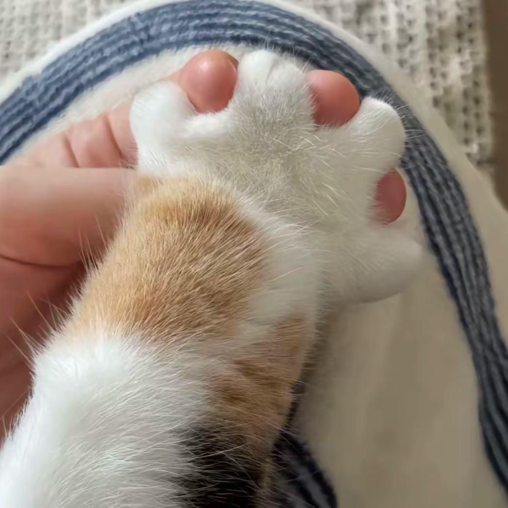 Zzzz