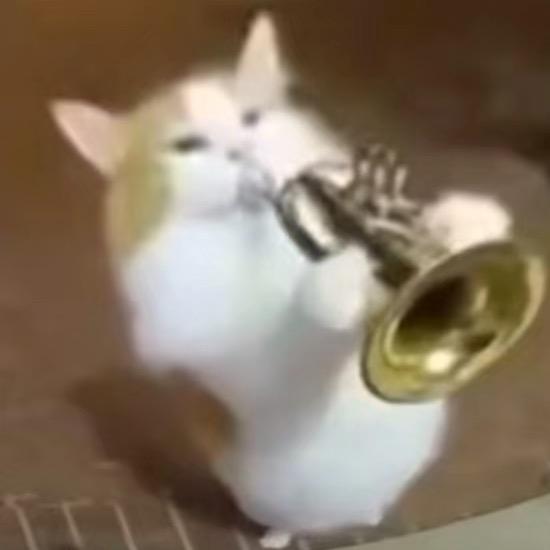 咪来地球打工滴