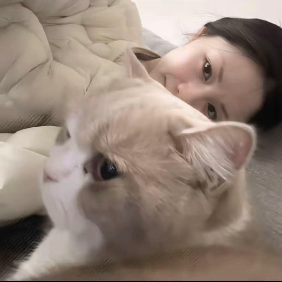 记得说晚安.