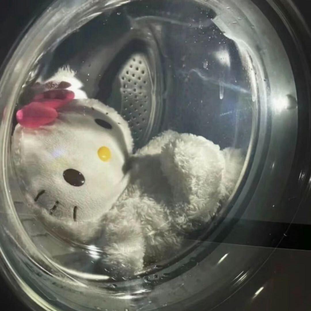 苦楝木