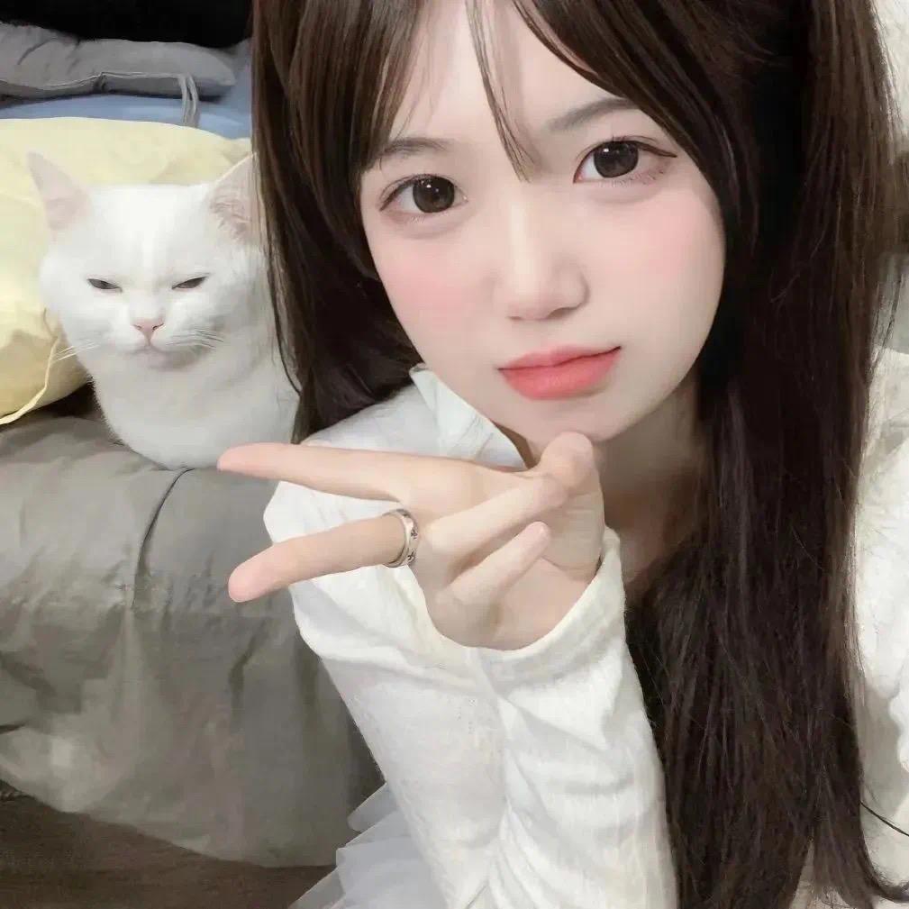 大猪爱吃小橙子🍊