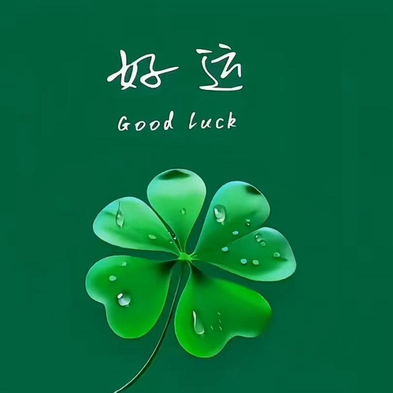 💦东北💦人💦在💦天津💦