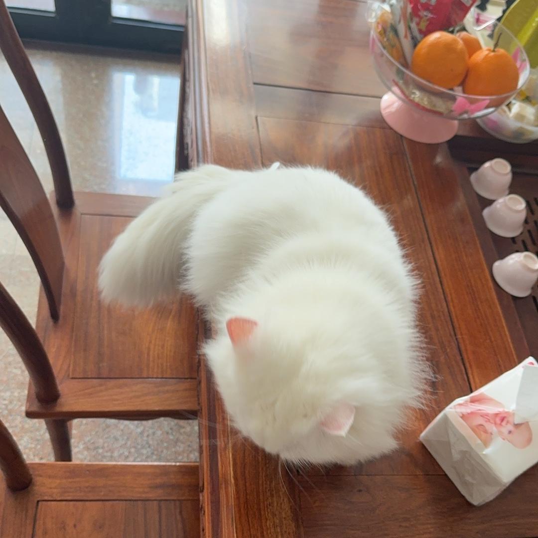 大麦麦大卖鞋铺