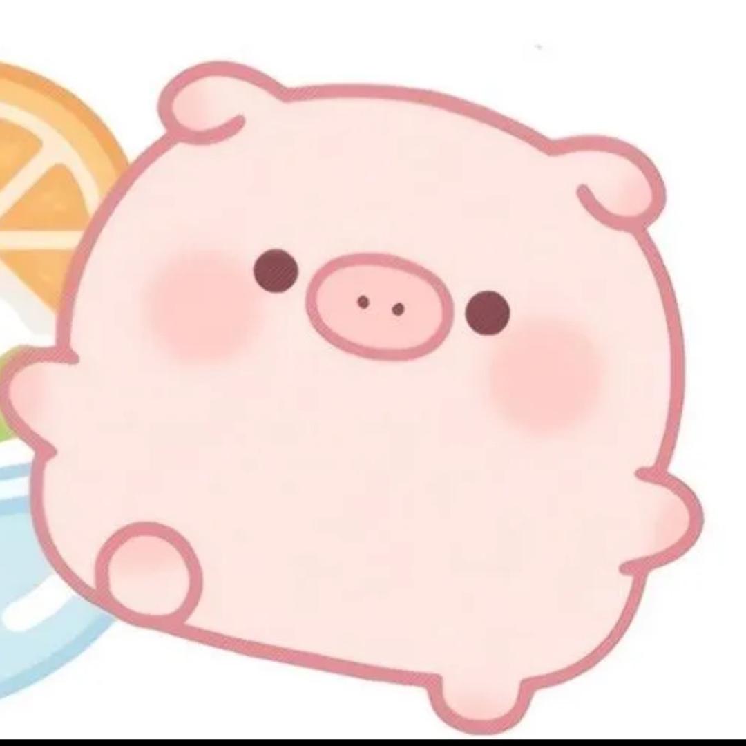 小猪皮格🐷