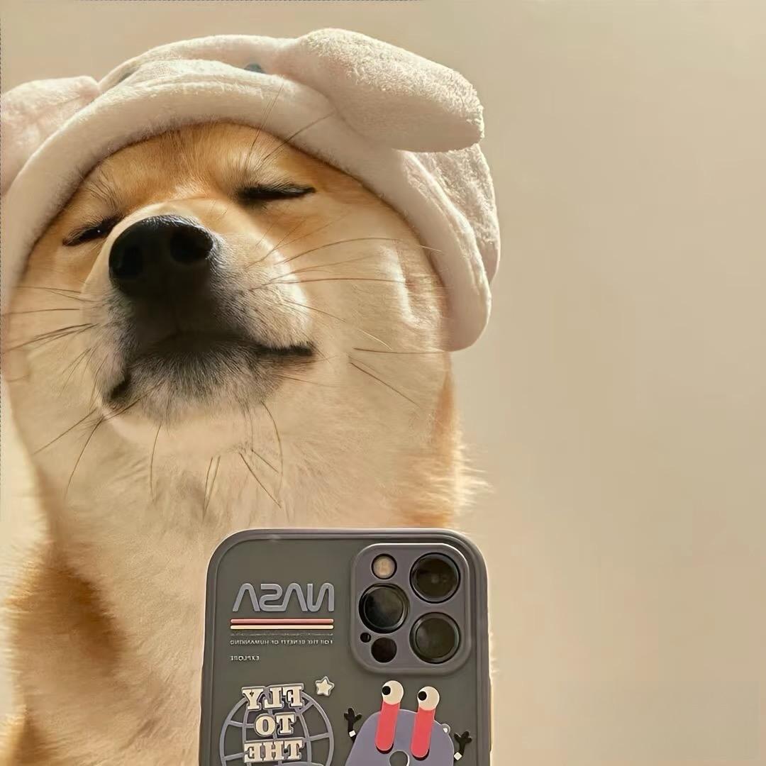 救赎.