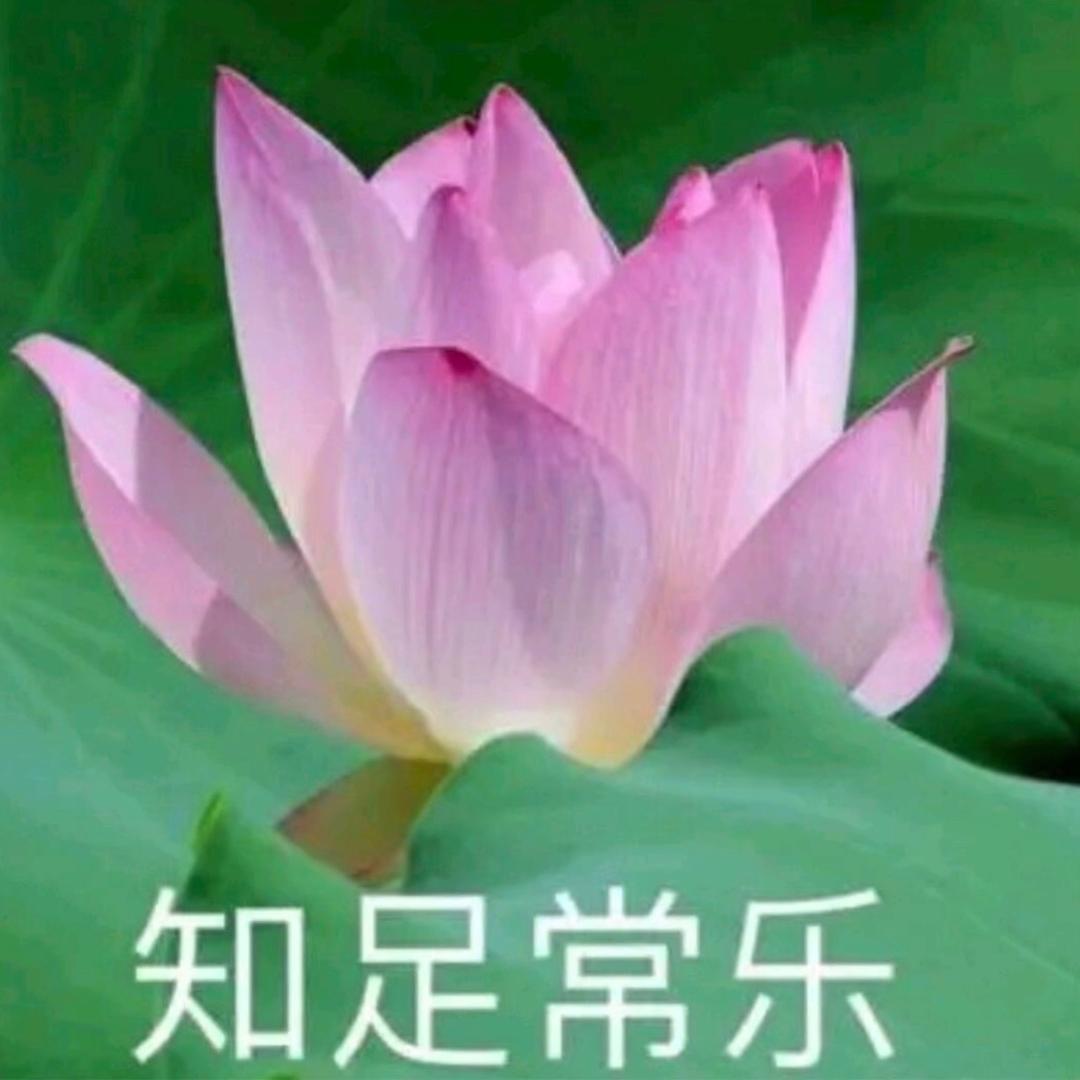 芳姐_