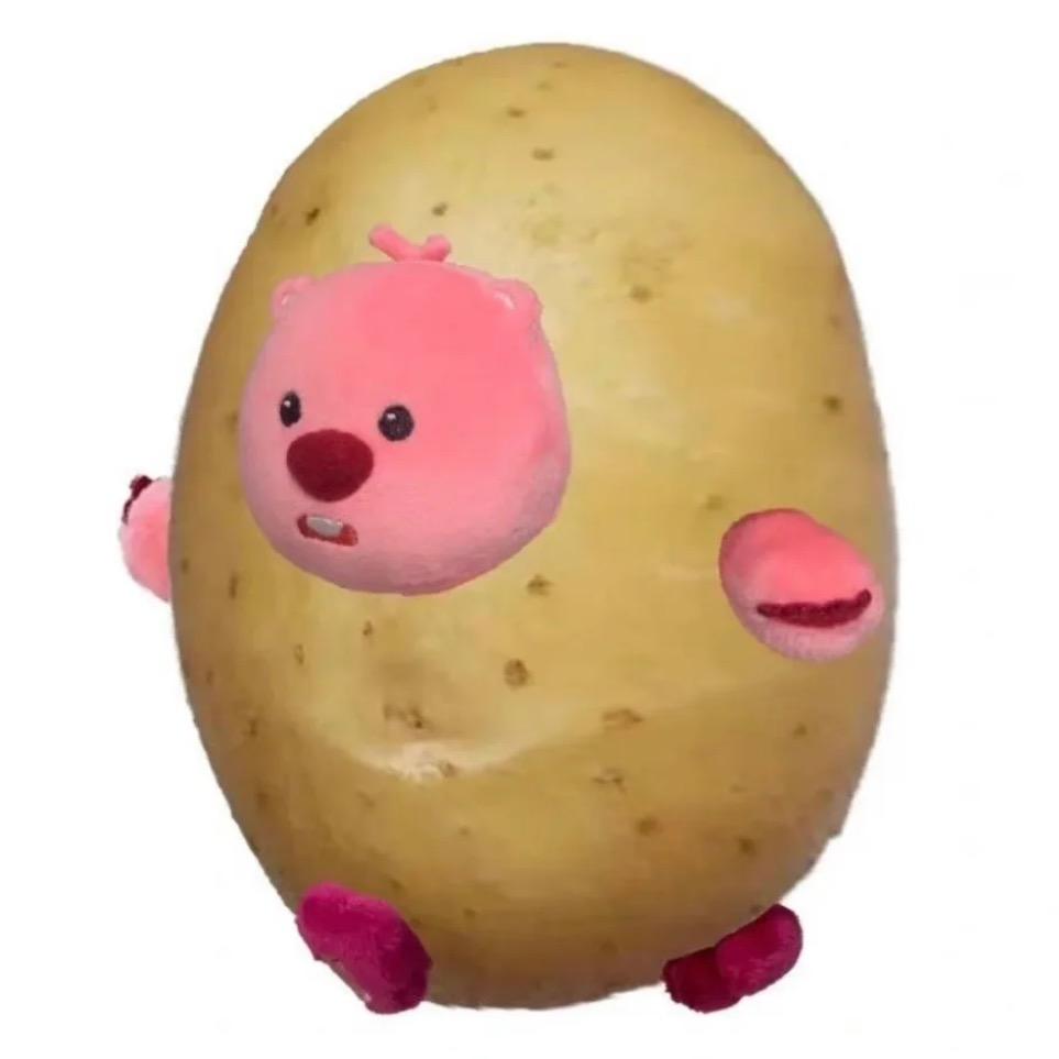 小八o