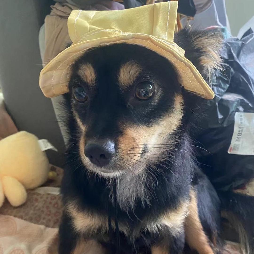 6️⃣1️⃣1️⃣