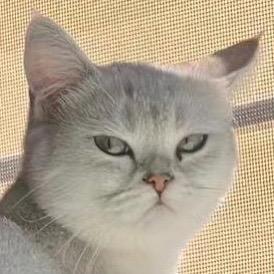婉儿