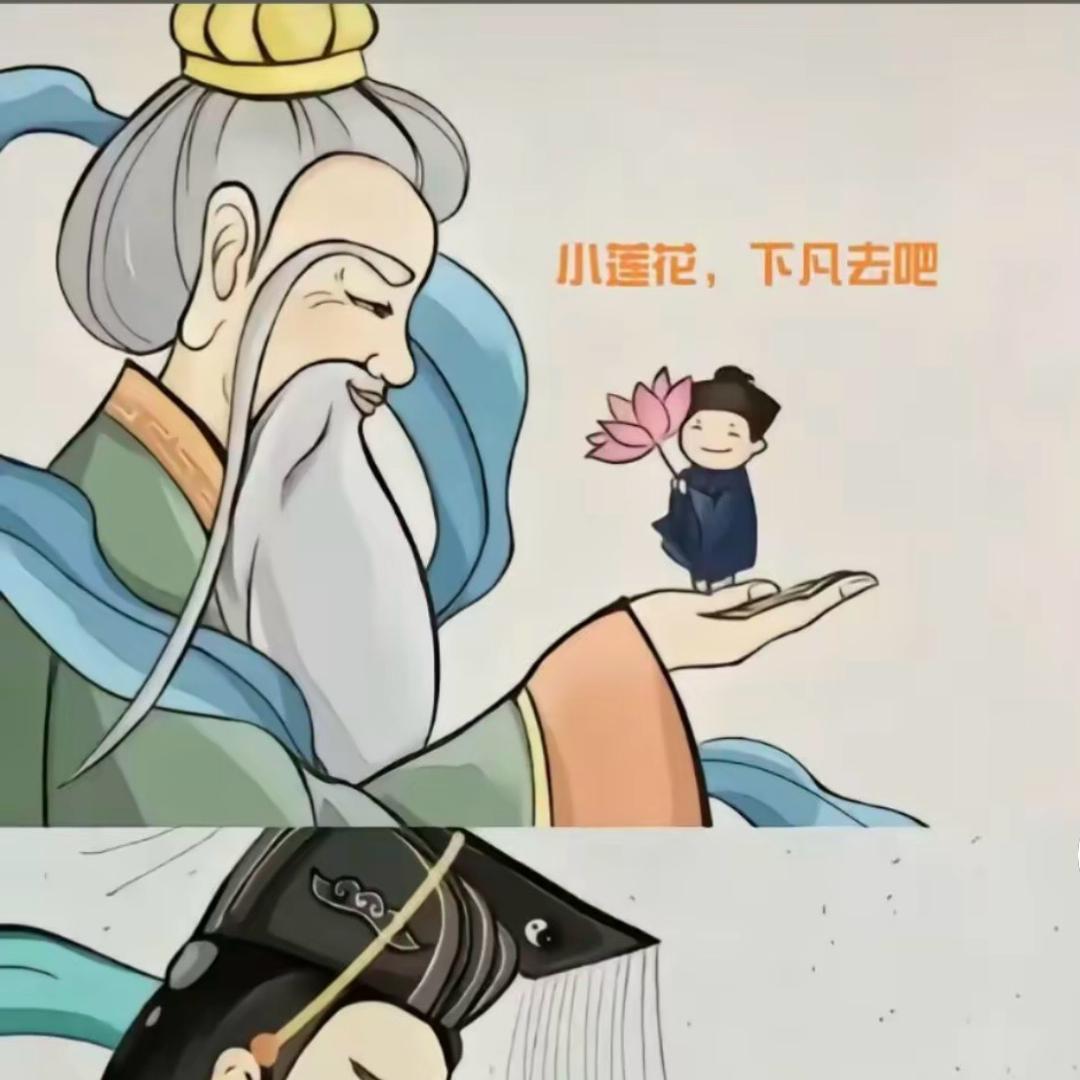 何以百忧解