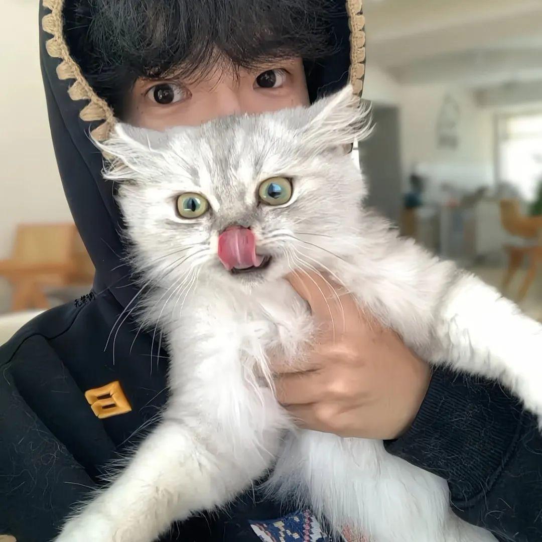 小宇🌙🐽