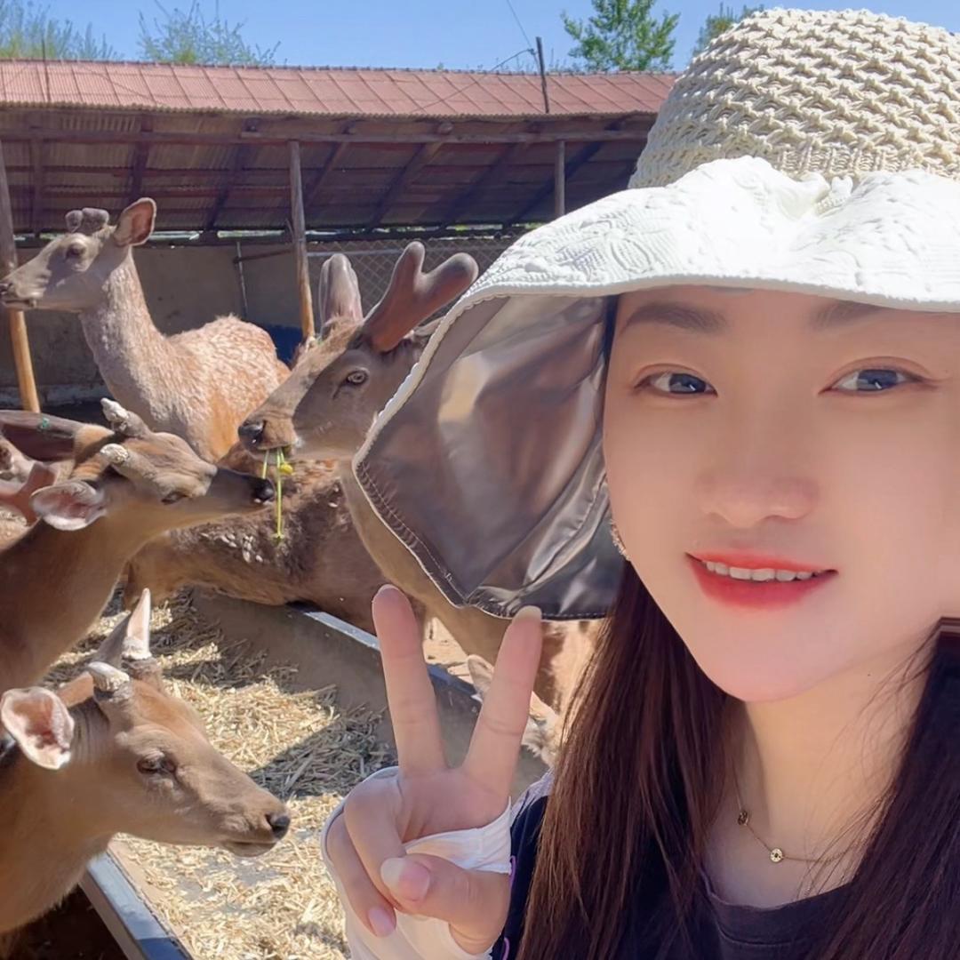 ⚡️森林鹿贸滋补养生沐泽🦌