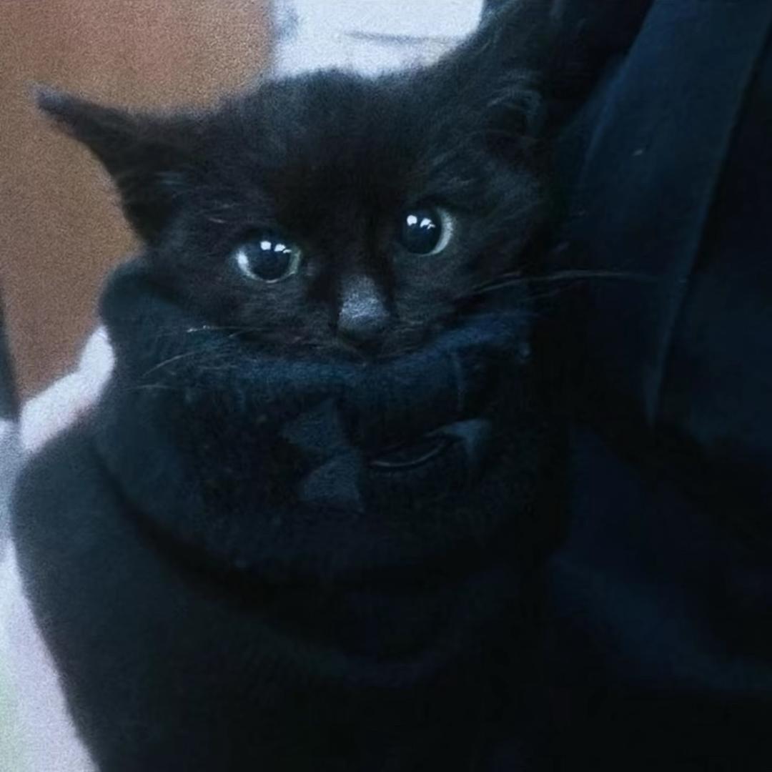 下次不要骗我了