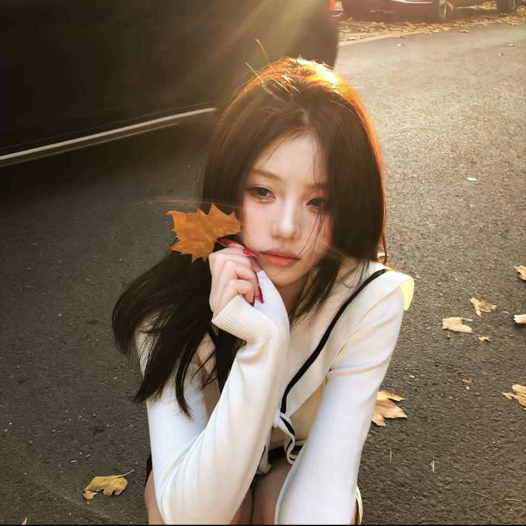 冬天里的白玫瑰.