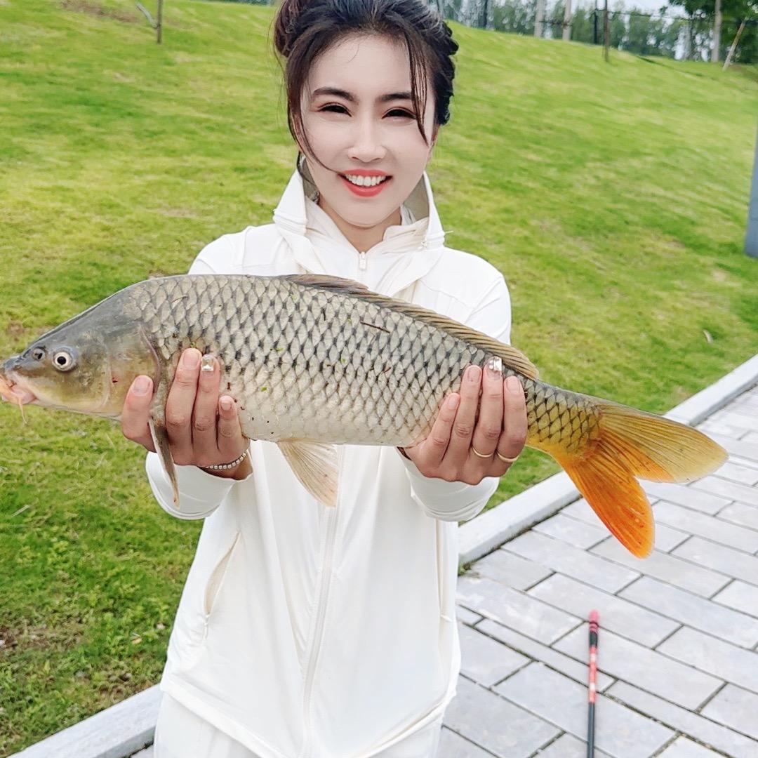 逗钓果果