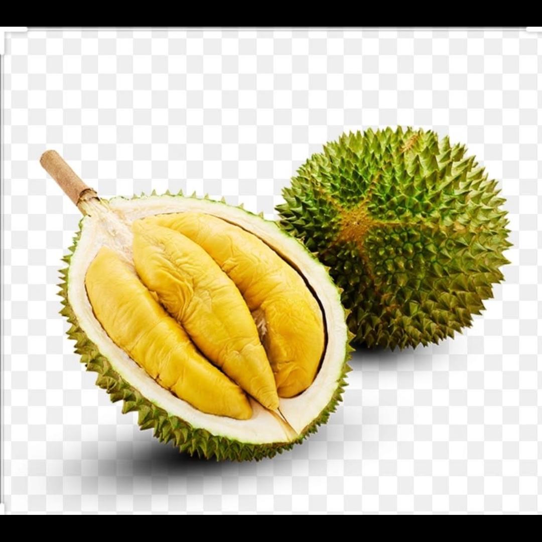 ရှင်နှောင်း