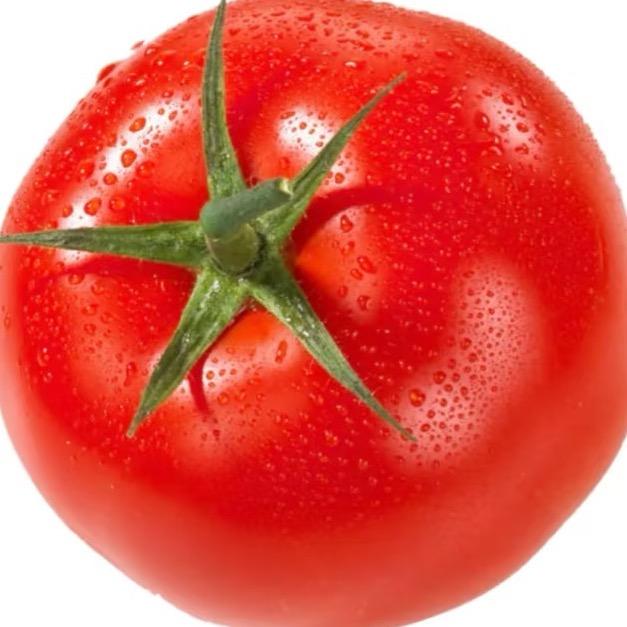特猫头🍅