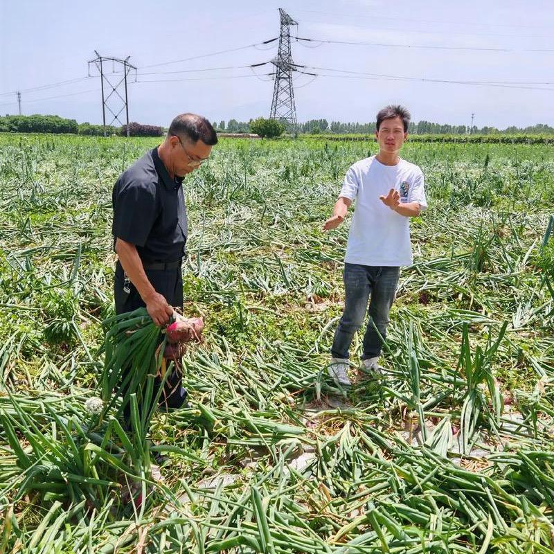大闸蟹明天到温酒